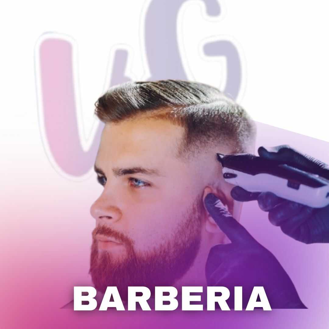 BARBERIA - Vyg technology